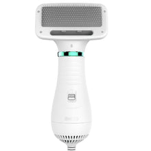 Temperature Adjustable Portable and Quiet Pet Hair Dryer with Brush_1