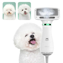 Temperature Adjustable Portable and Quiet Pet Hair Dryer with Brush_3