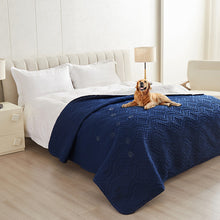 Waterproof Moisture-Proof Dog Mat_1