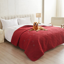 Waterproof Moisture-Proof Dog Mat_3