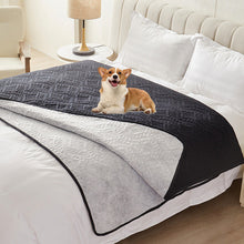 Waterproof Moisture-Proof Dog Mat_7