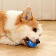 Smart Interactive Self Rolling Pet Toy_6
