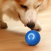 Smart Interactive Self Rolling Pet Toy_7