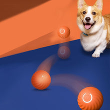 Smart Interactive Self Rolling Pet Toy_8