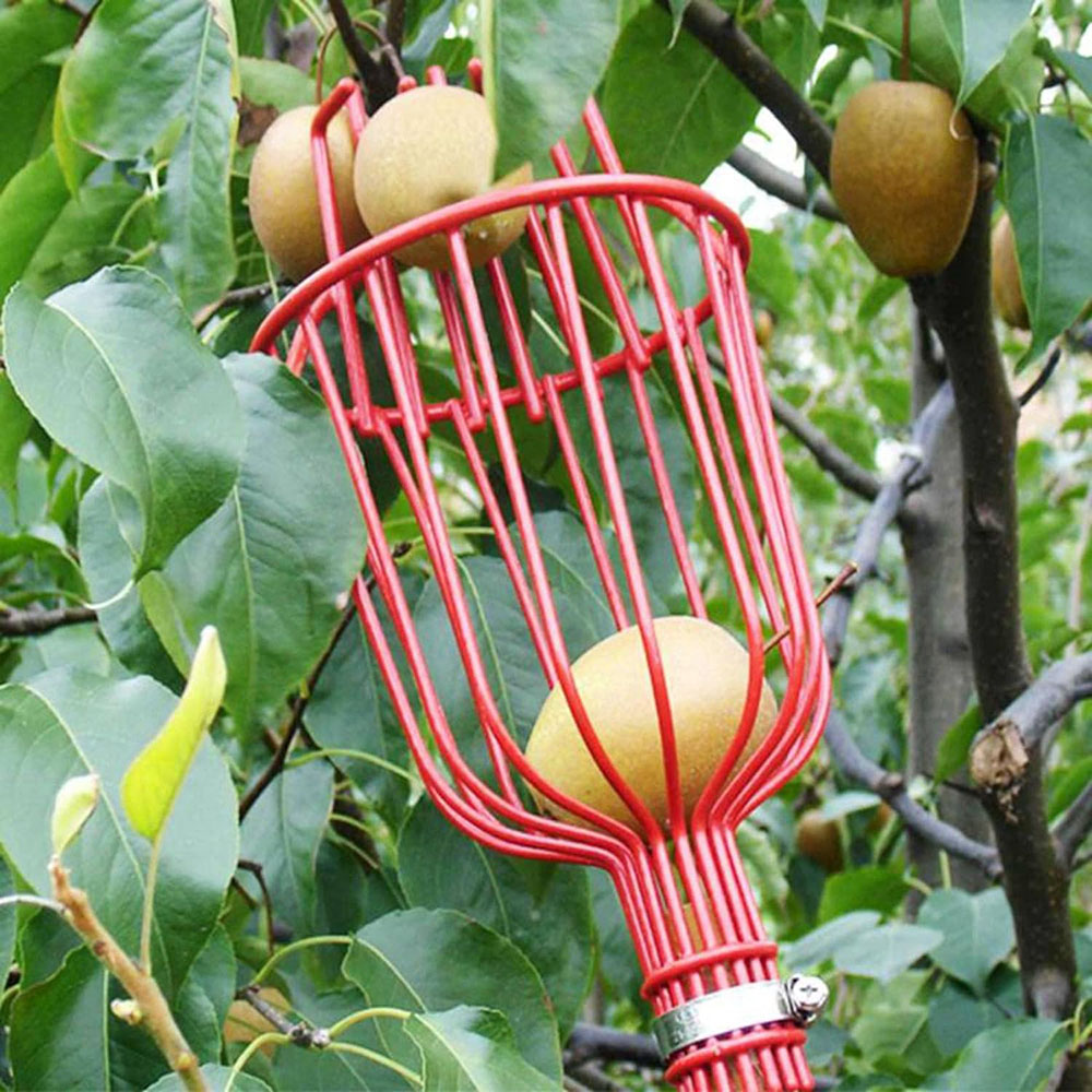 Deep Basket Fruit Picker Head Farm Picking Device Garden tools_0