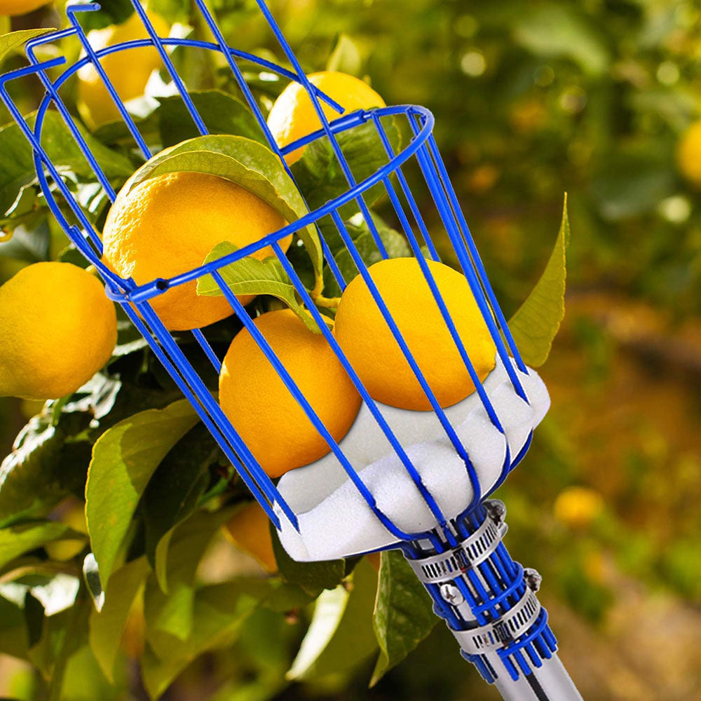 Deep Basket Fruit Picker Head Farm Picking Device Garden tools_5