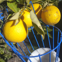 Deep Basket Fruit Picker Head Farm Picking Device Garden tools_2