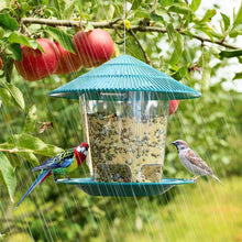 Outdoor Bird Feeder Hanging Nut Feeding Multiple Hole Dispenser Holder Food Container_3
