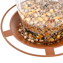 Outdoor Bird Feeder Hanging Nut Feeding Multiple Hole Dispenser Holder Food Container_5