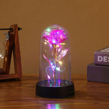 LED Eternal Beauty Rose With Fairy Lights in Dome_2
