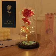 LED Eternal Beauty Rose With Fairy Lights in Dome_4