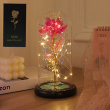 LED Eternal Beauty Rose With Fairy Lights in Dome_5