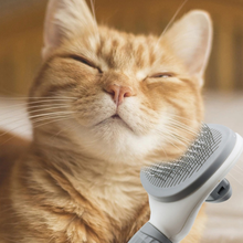 Self Cleaning Pet Hair Remover Brush Pets Dematting Comb_2