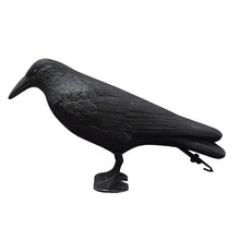 Simulation Black Crow Raven Pigeon Repellent_4