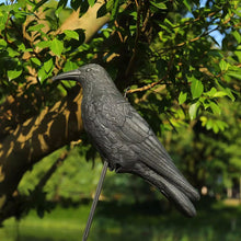 Simulation Black Crow Raven Pigeon Repellent_0