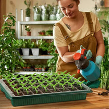 2 Pack High Dome Germination Trays Plant Seedling Starter Kit_1