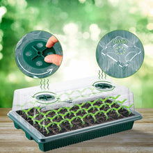 2 Pack High Dome Germination Trays Plant Seedling Starter Kit_3