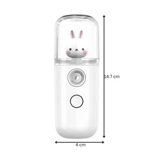 Mini Mist Face Sprayer Humidifier