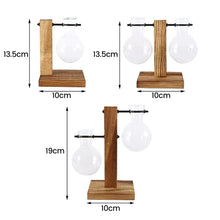 Modern Glass Bulb Vase with Wooden Stand for Hydroponic Plants