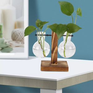 Modern Glass Bulb Vase with Wooden Stand for Hydroponic Plants