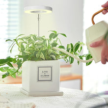 LED Plant Growth Light USB Timer Adjustable Height