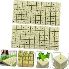 100 to 300-Pack of Seed Growing Wool Rock Cubes