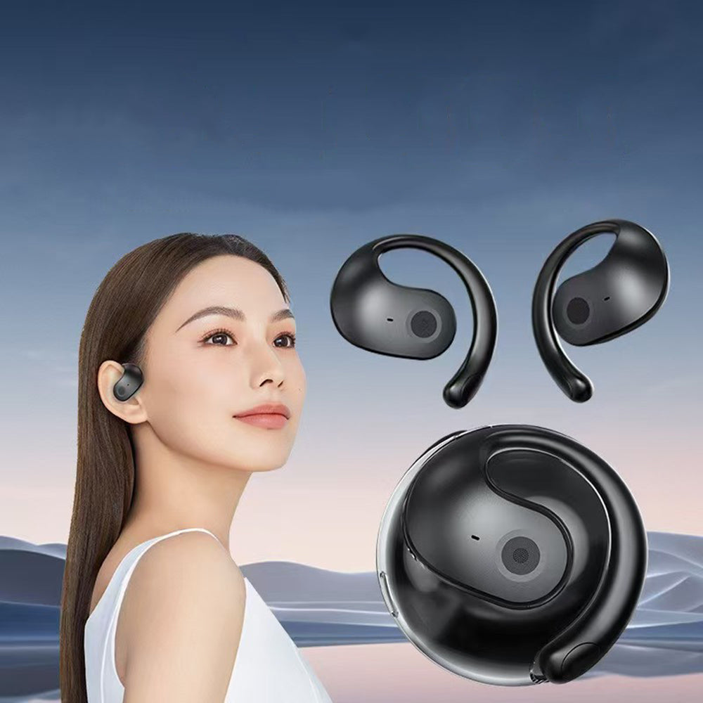 AI Translation Wireless Bluetooth Earphones