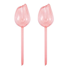 2/4 Pink Tulip Plant Watering Balls