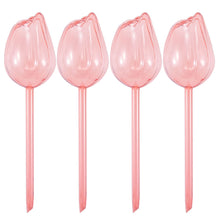 2/4 Pink Tulip Plant Watering Balls