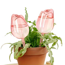 2/4 Pink Tulip Plant Watering Balls