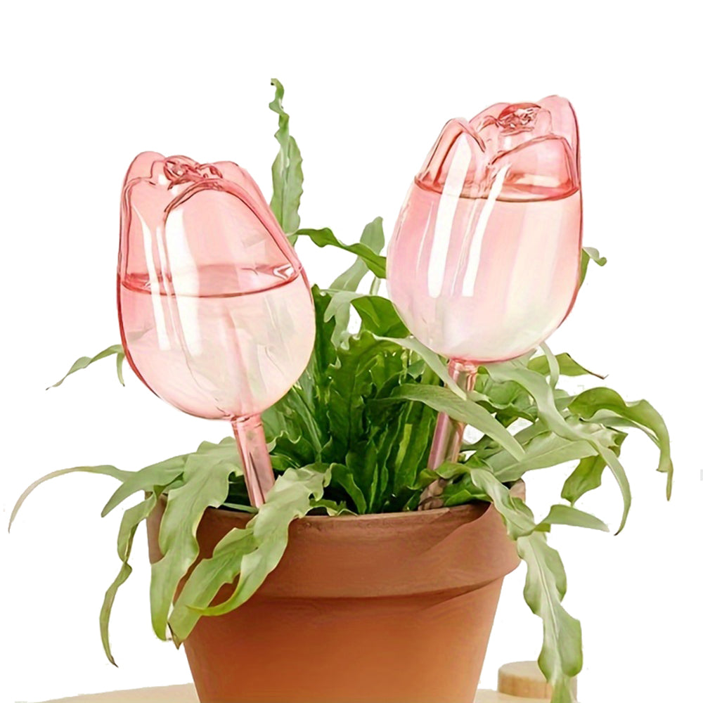 2/4 Pink Tulip Plant Watering Balls