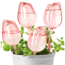 2/4 Pink Tulip Plant Watering Balls