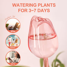 2/4 Pink Tulip Plant Watering Balls