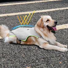 Reflective Safety Adjustable Breathable Dog Cooling Mesh Vest with Ice Packs & Evaporative Cooling