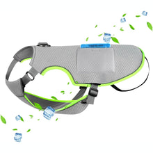 Reflective Safety Adjustable Breathable Dog Cooling Mesh Vest with Ice Packs & Evaporative Cooling