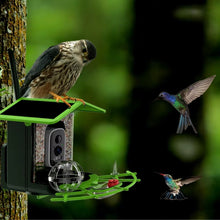 2K HD Bird Feeder Camera WiFi Solar Powered with Battery and Alerts