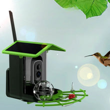 2K HD Bird Feeder Camera WiFi Solar Powered with Battery and Alerts