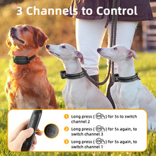 Digital Rechargeable Pet Dog Bark Stop Shock Collar