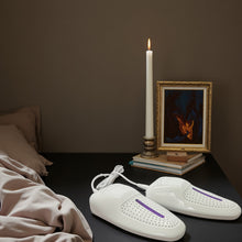 USB Version Shoe Dryer Deodorizing Sterilizing Household Quick-drying Shoe Warmer