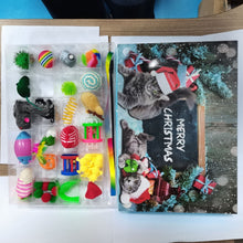 2025 Christmas Advent Calendar Cat Toys 24-Day Countdown Blind Box