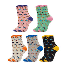 5 Pairs Sausage Dog Socks