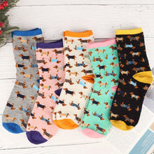 5 Pairs Sausage Dog Socks