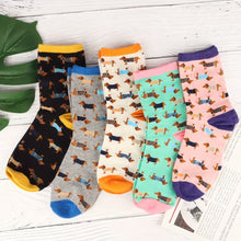 5 Pairs Sausage Dog Socks