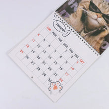 2026 Cat /Dog Calendar
