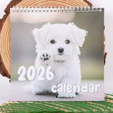 2026 Cat /Dog Calendar
