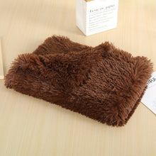 Ultra-Soft Plush Pet Blanket