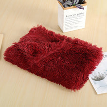 Ultra-Soft Plush Pet Blanket