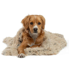 Ultra-Soft Plush Pet Blanket
