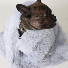Ultra-Soft Plush Pet Blanket
