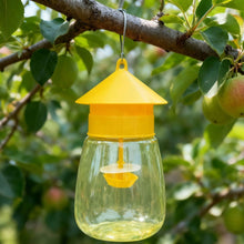 Outdoor Hanging Fruit Fly and Wasp Trap